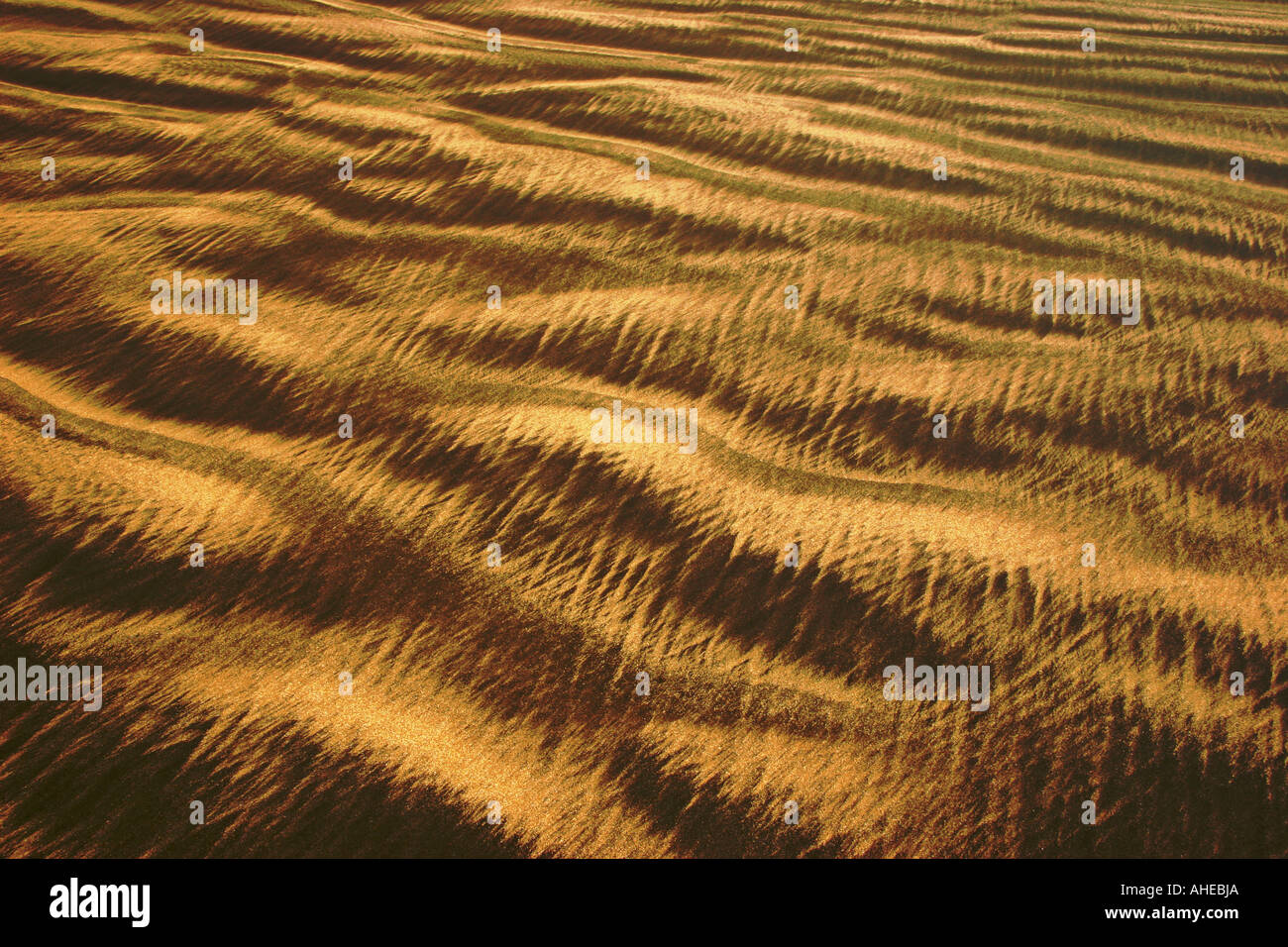 Random patterns hi-res stock photography and images - Alamy
