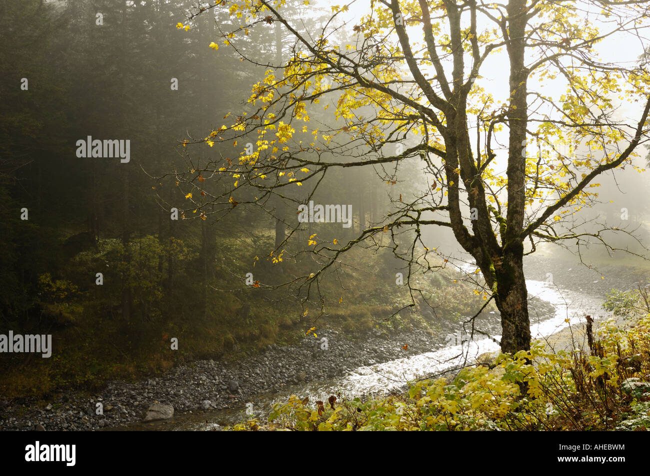 The Valüna valley in fall, Liechtenstein LI Stock Photo - Alamy