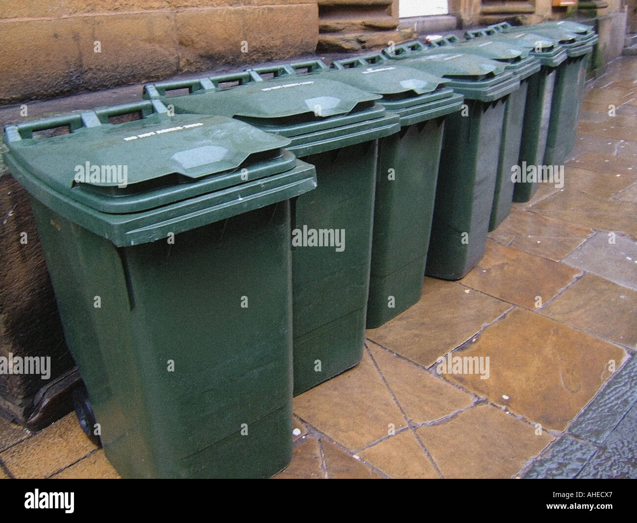 row of wheely bins waiting to be emptied Stock Photo Alamy