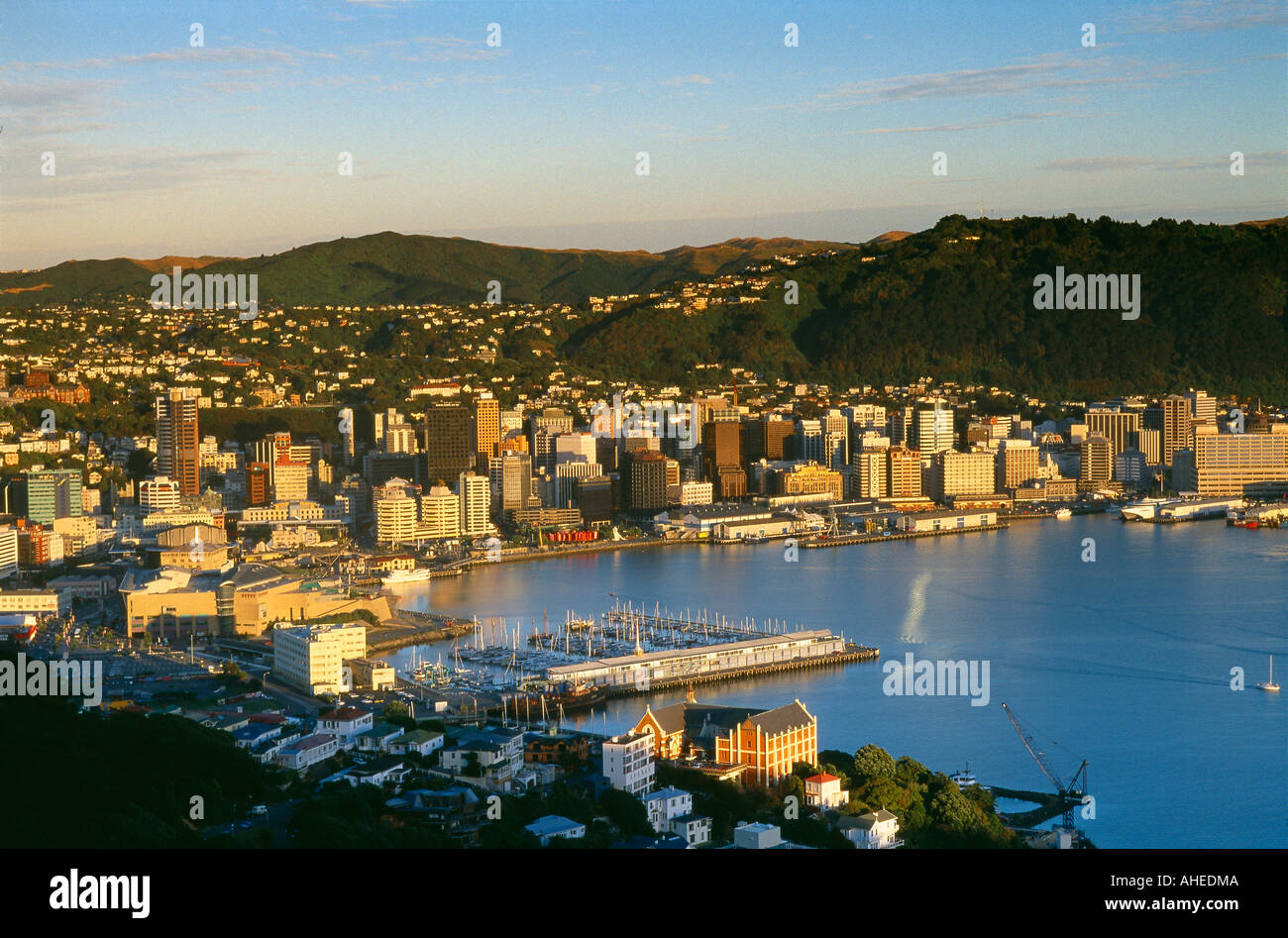 the harbour city centre Wellington North Island New Zealand Stock Photo