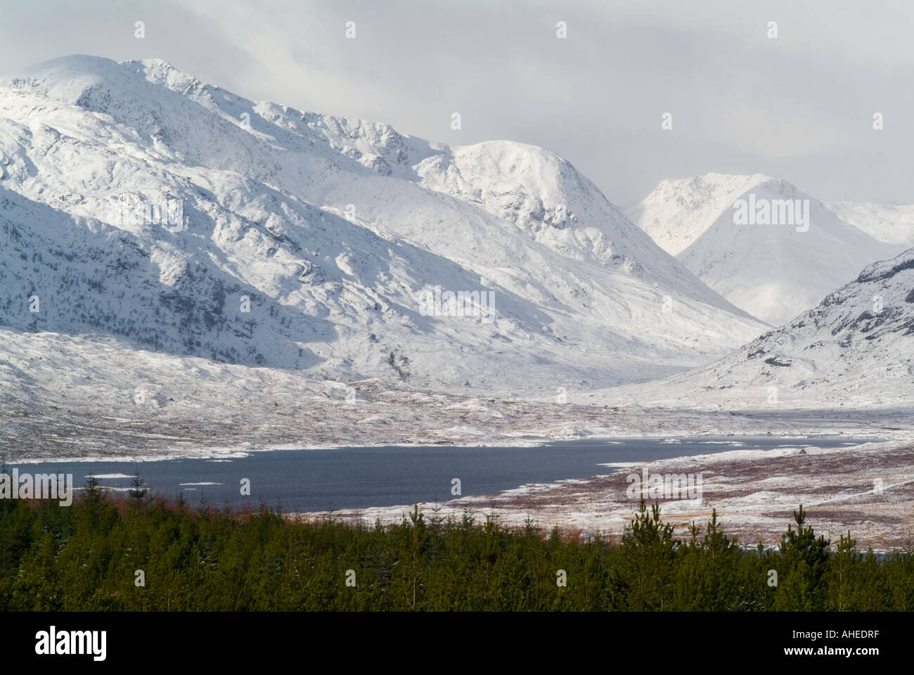 A dramatic view across a pine plantation to a scottish loch surrounded by snow covered mountains in bright winter sunlight Stock Photo