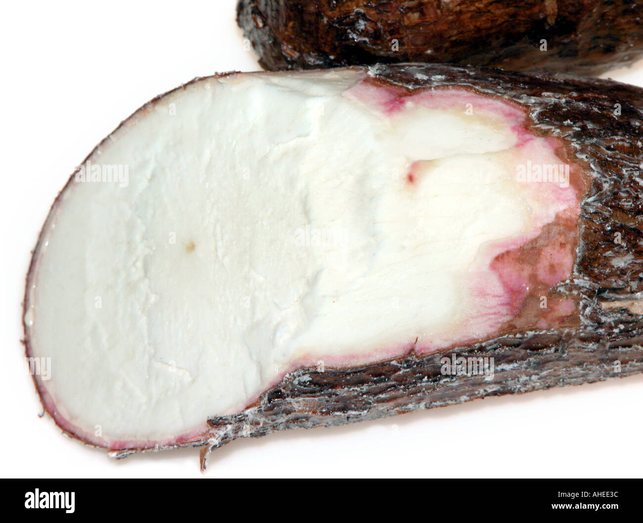 Tapioka sago hi-res stock photography and images - Alamy