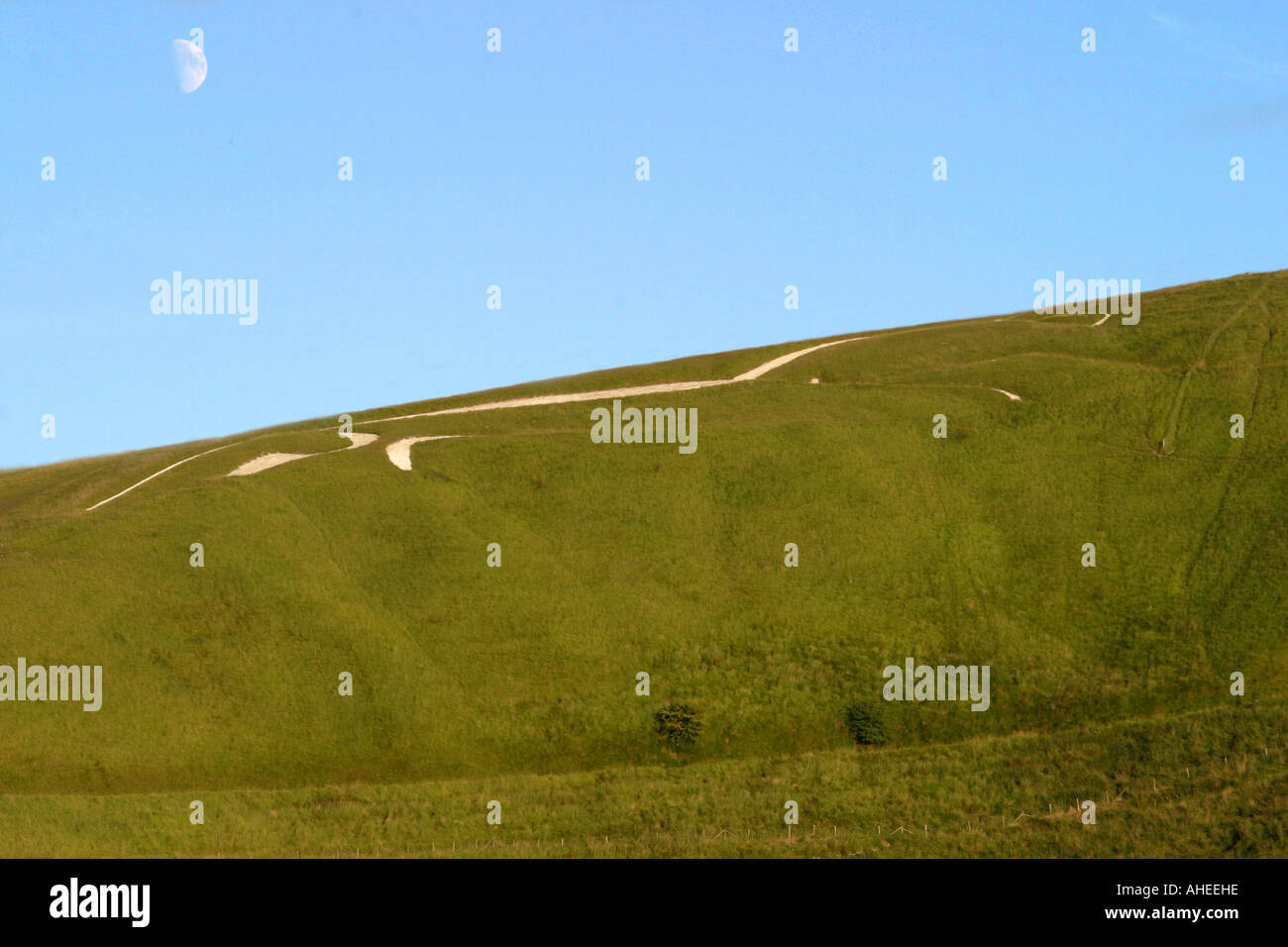 The White Horse in Uffington Wiltshire England Stock Photo Alamy
