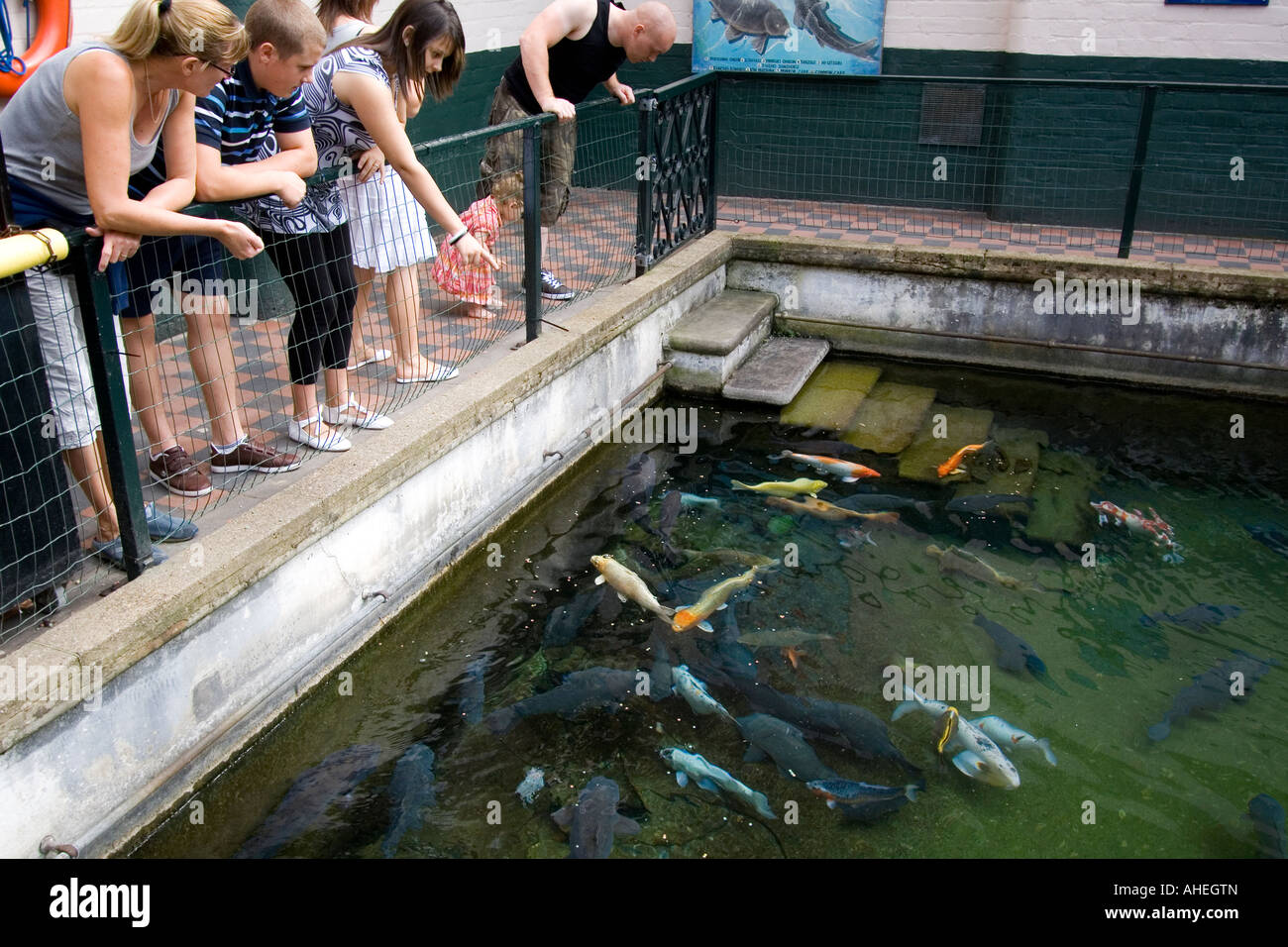 Aquarium Matlock Bath Stock Photo