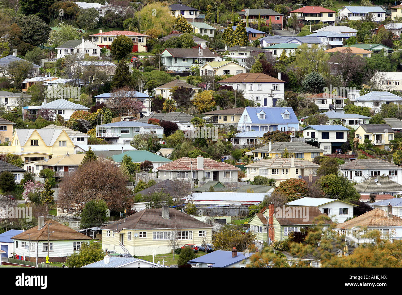 typical residential housing Nelson New Zealand Stock Photo - Alamy