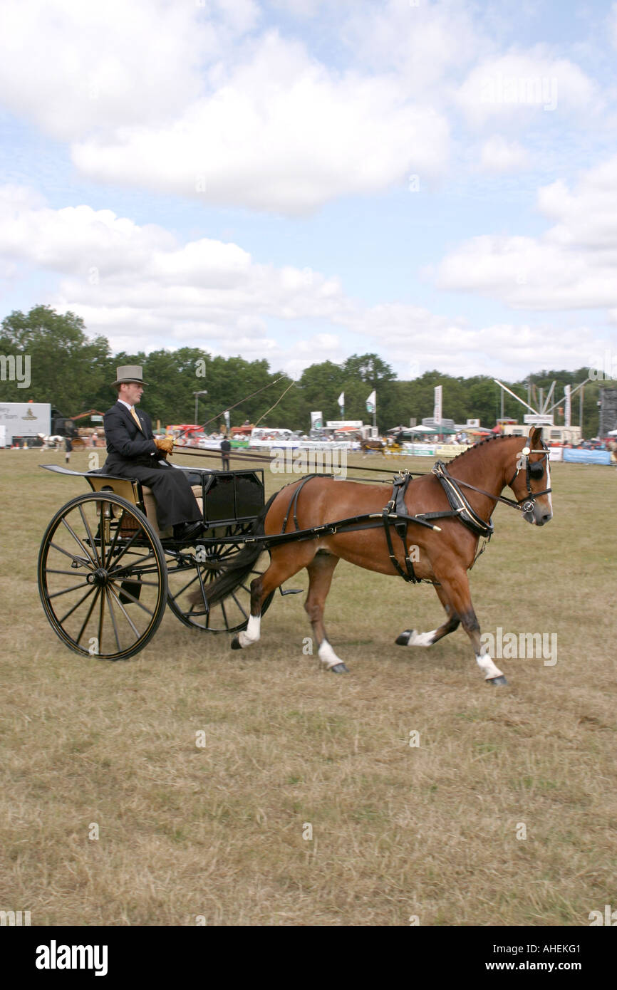 The Cranleigh Show UK August 2006 Stock Photo Alamy