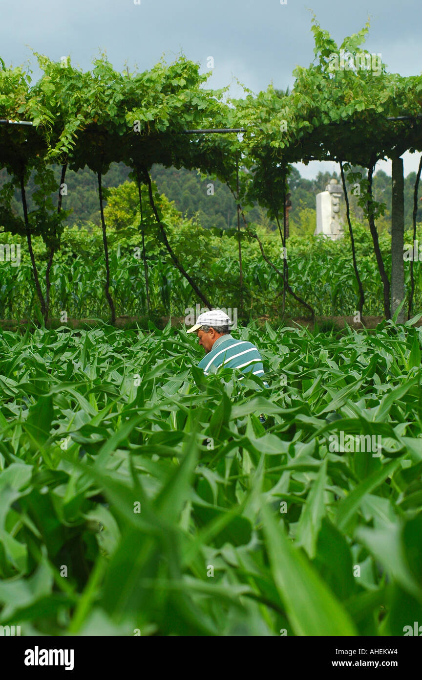 The farm workforce hires stock photography and images Alamy