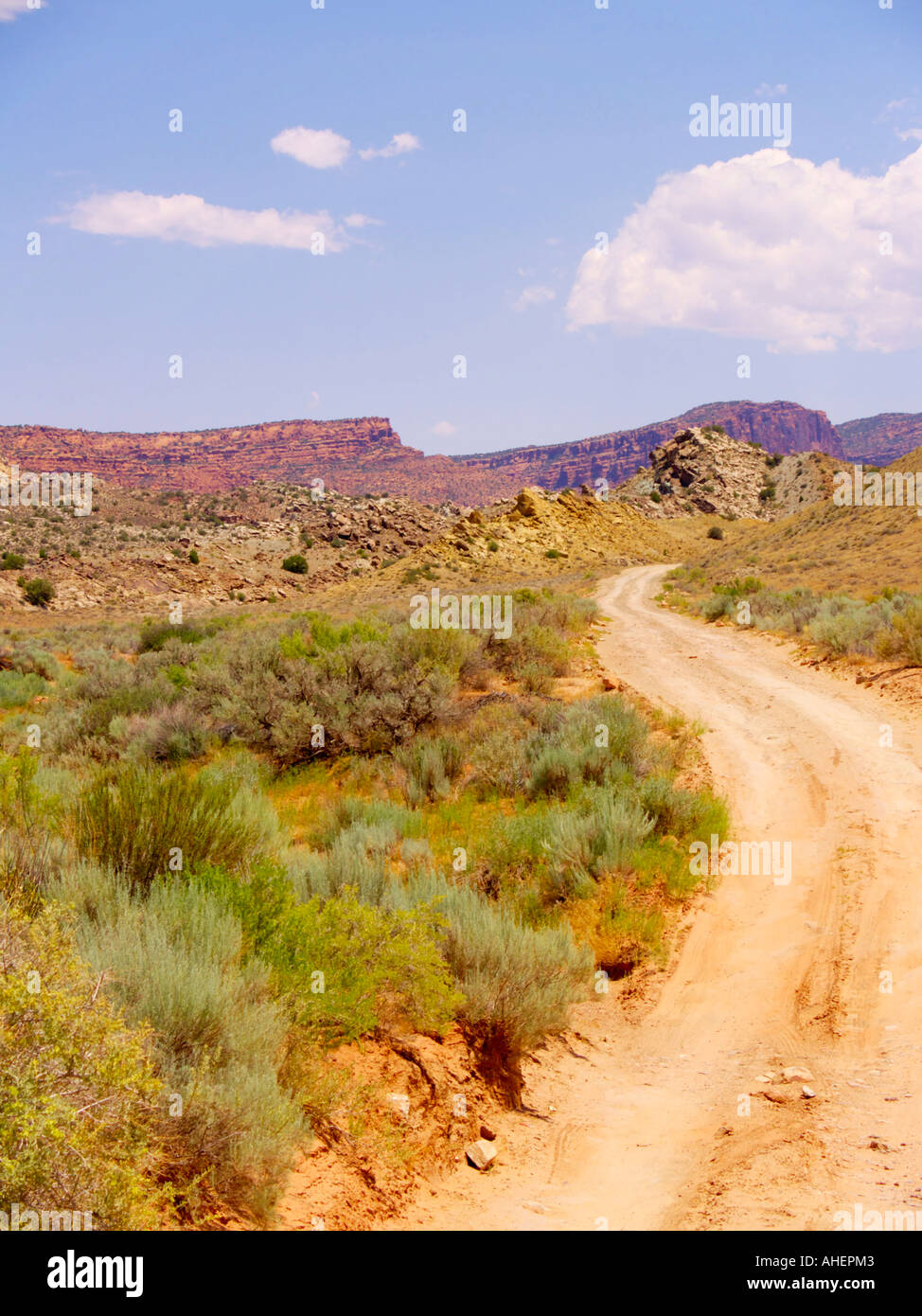 Dirt road running through vast meadows of growing desert chaparral in
