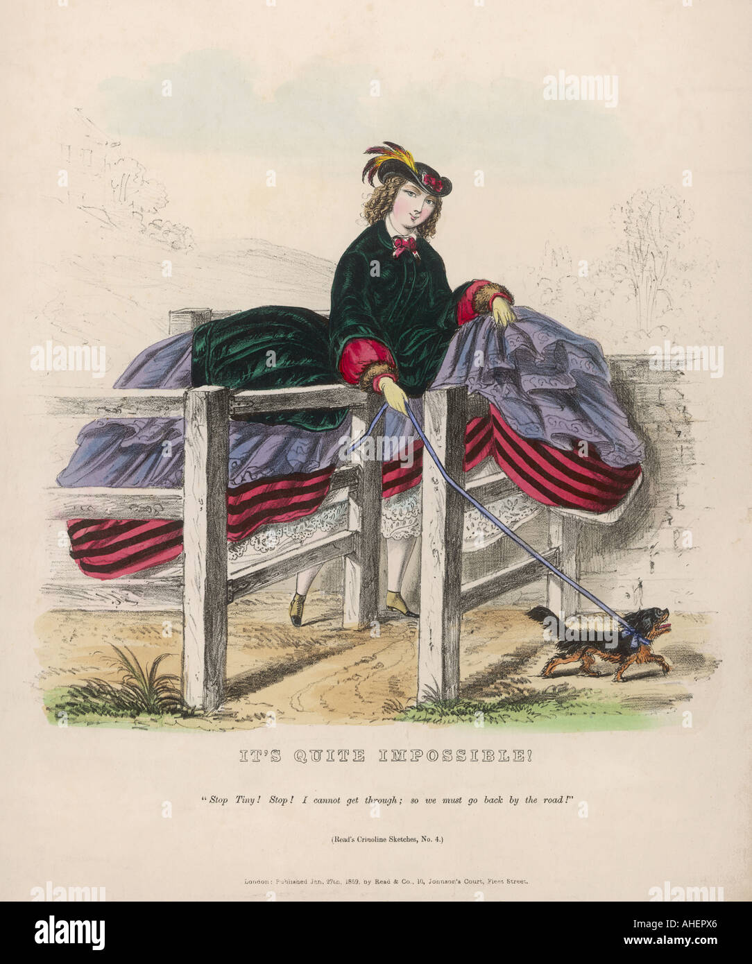 Cage Crinoline High Resolution Stock Photography and Images - Alamy