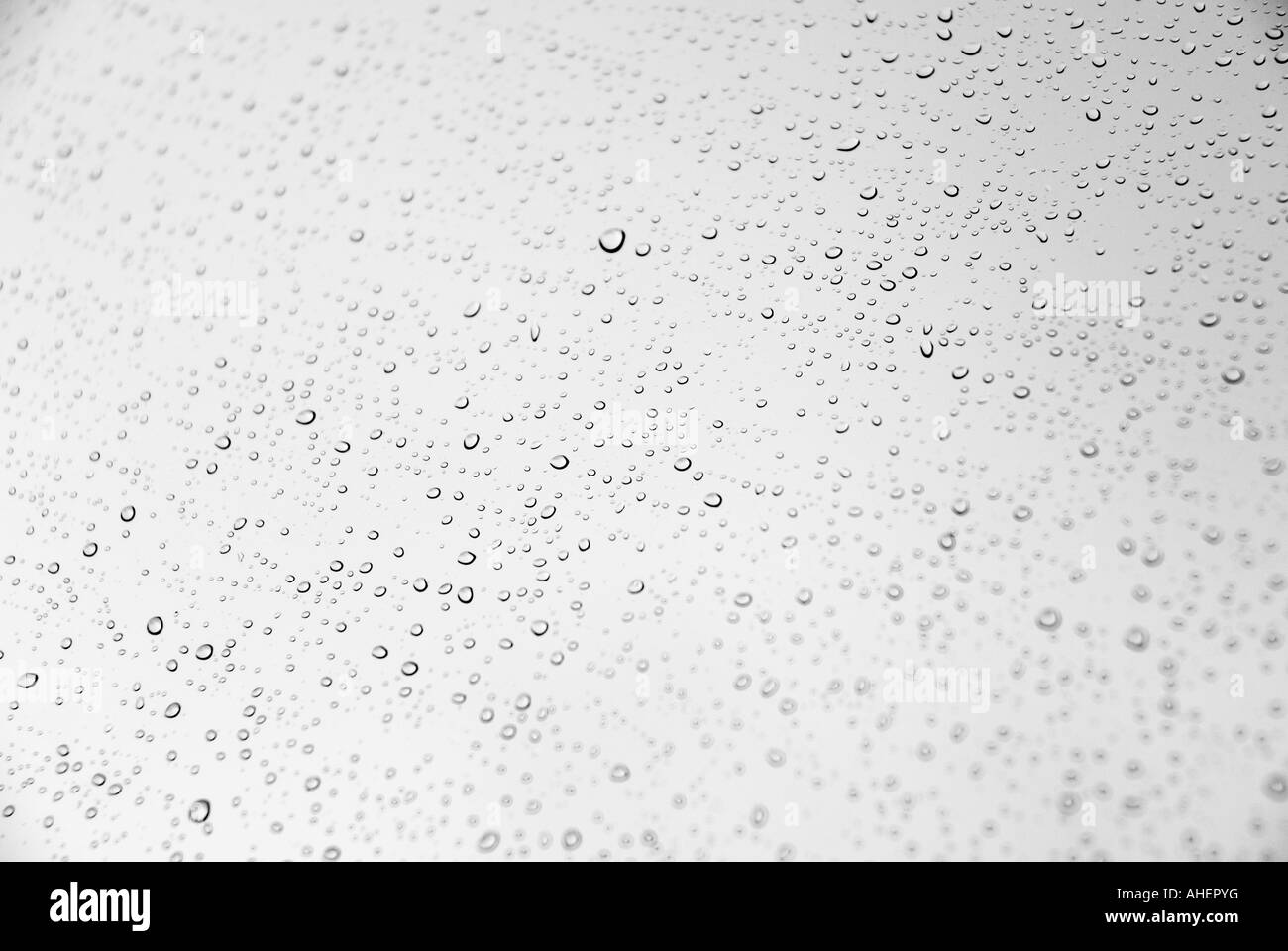 Raindrops Stock Photo