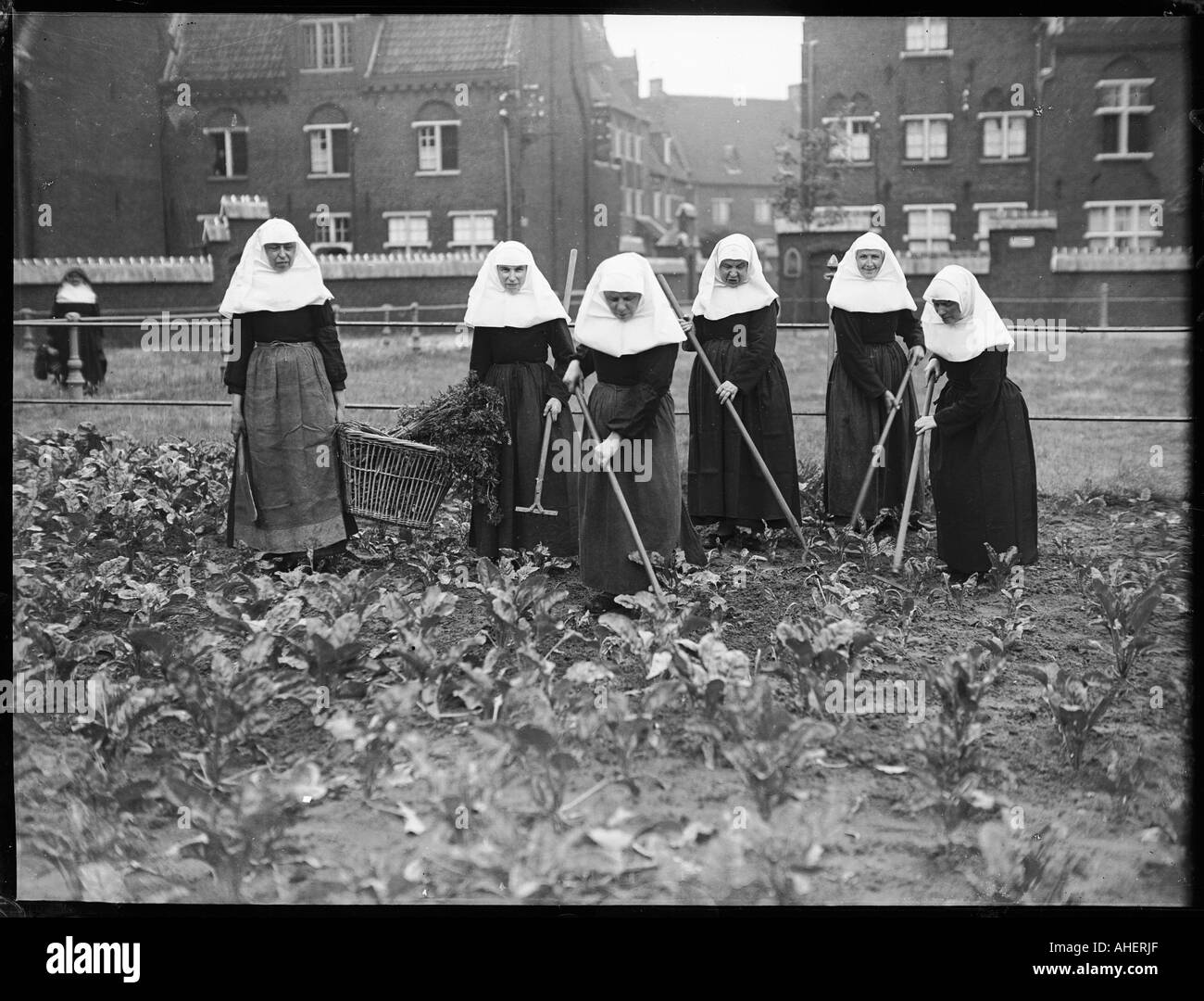 Belgian Nuns Gardening Stock Photo