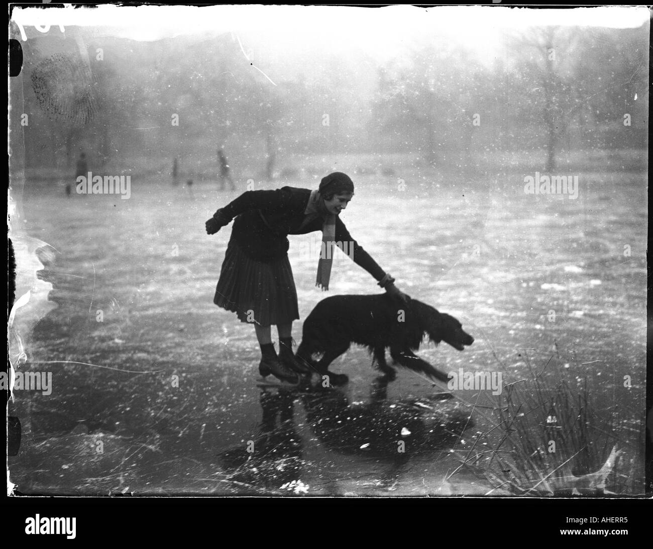 Ice skating dog Black and White Stock Photos & Images Alamy Ice skating dog Black and White Stock Photos & Images Alamy