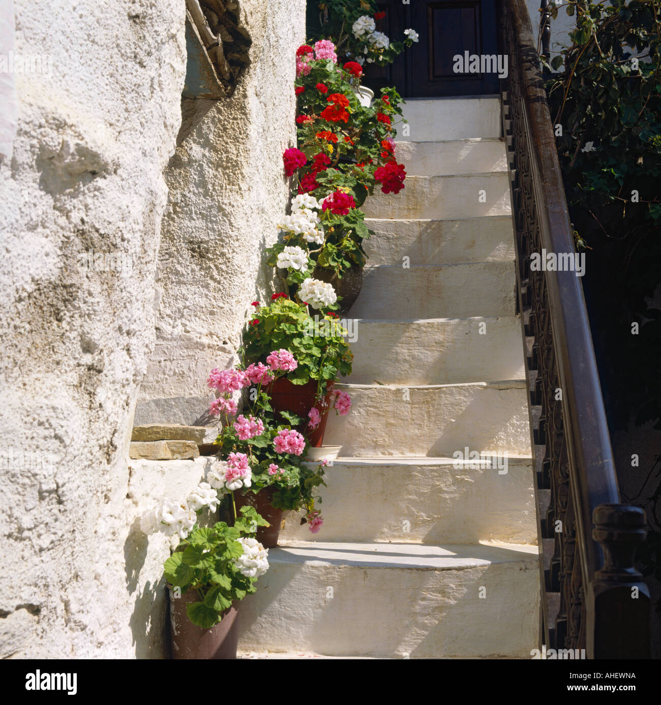Flight of steep stone white-washed rustic steps with pots of red pink and white geraniums Naxos Town Naxos Island Greek Islands Stock Photo