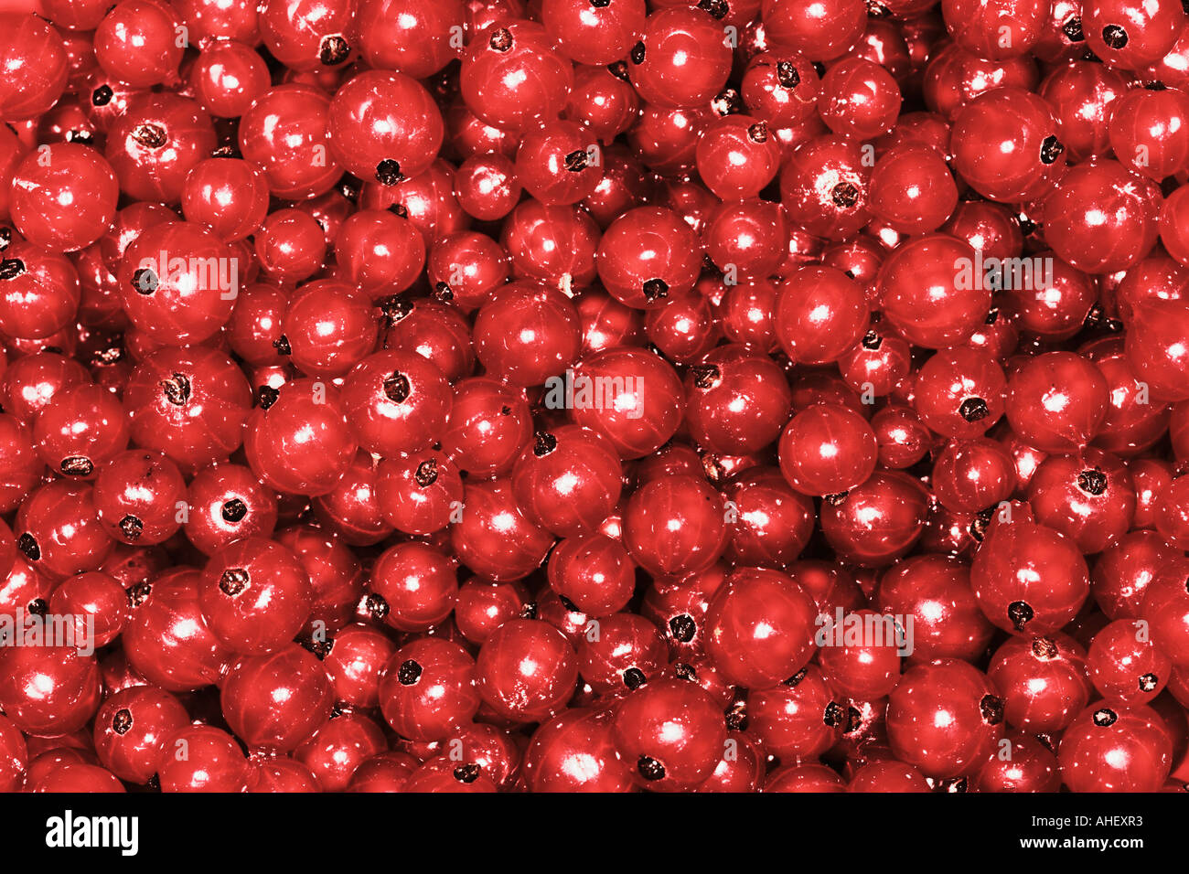 Crop Of Redcurrants Stock Photo