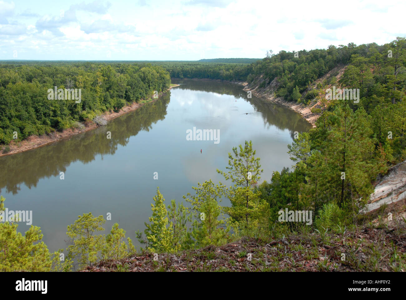 Garden of Eden hiking trail view from alum bluff above Apalachicola River Florida Stock Photo