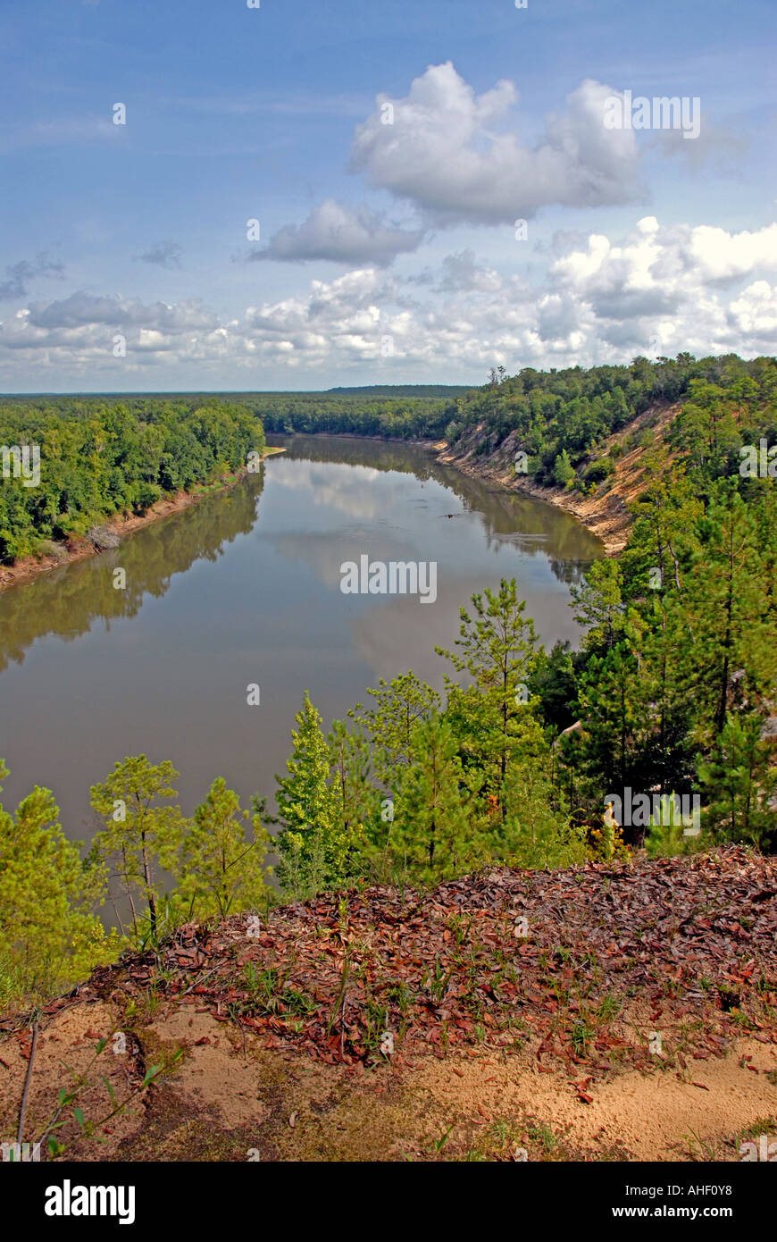 Garden of Eden hiking trail view from alum bluff above Apalachicola River Florida Stock Photo