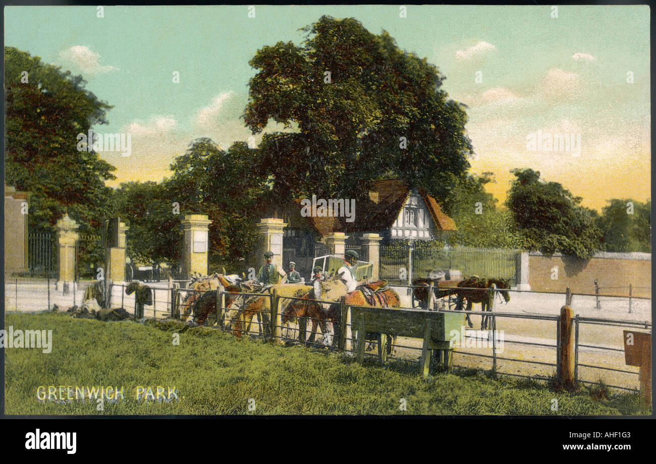 Horses At Greenwich Park Stock Photo