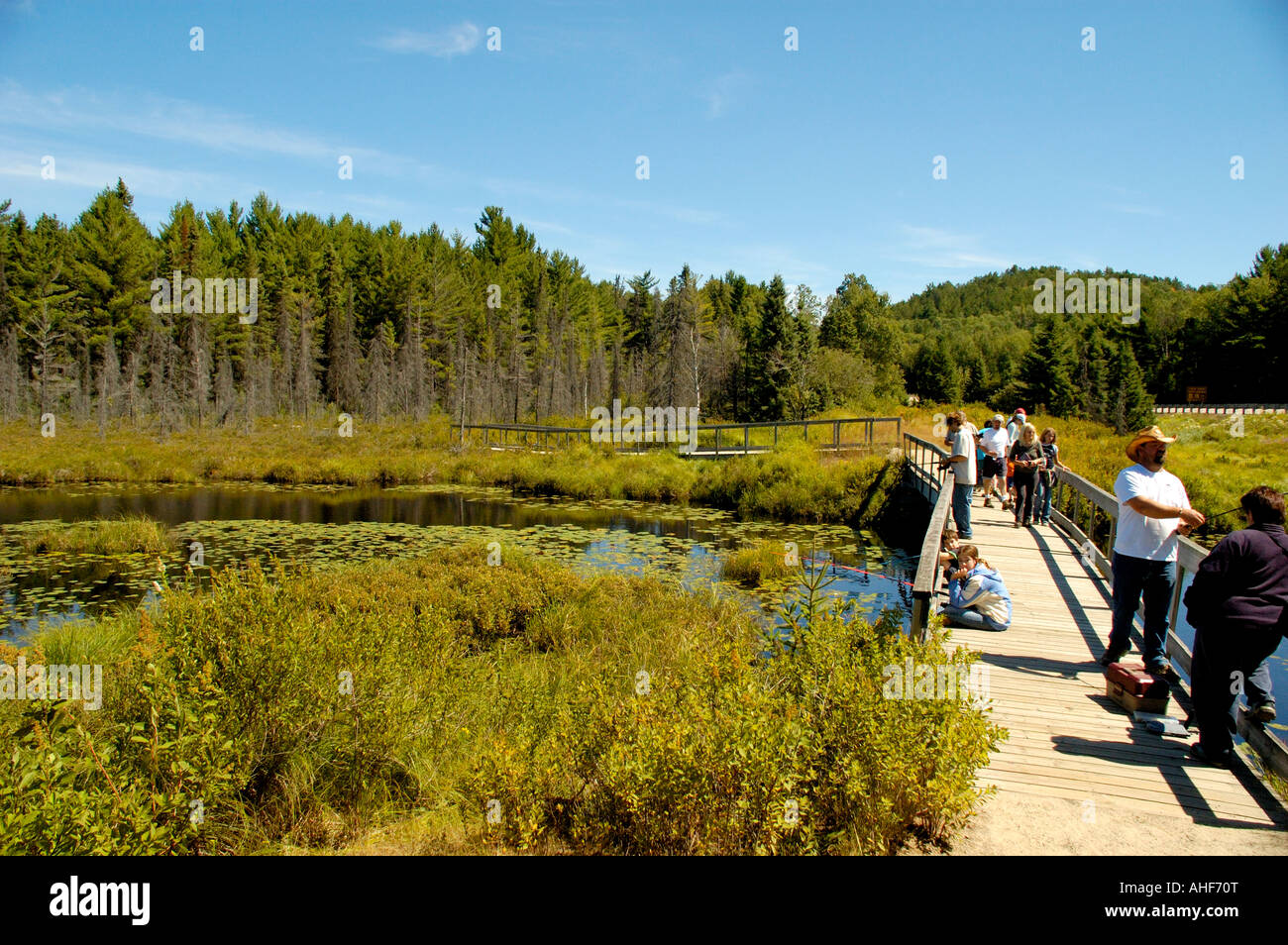 Spruce Bog Trail Algonquin Provincial Park Ontario Canada Stock Photo