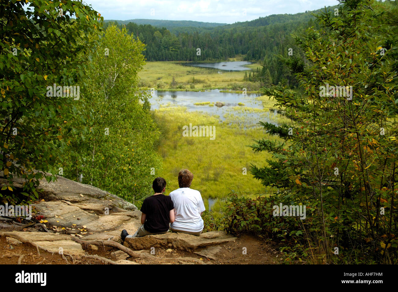 Walkers looking at scenic view with beaver lodges Algonquin Provincial Park Ontario Canada Stock Photo