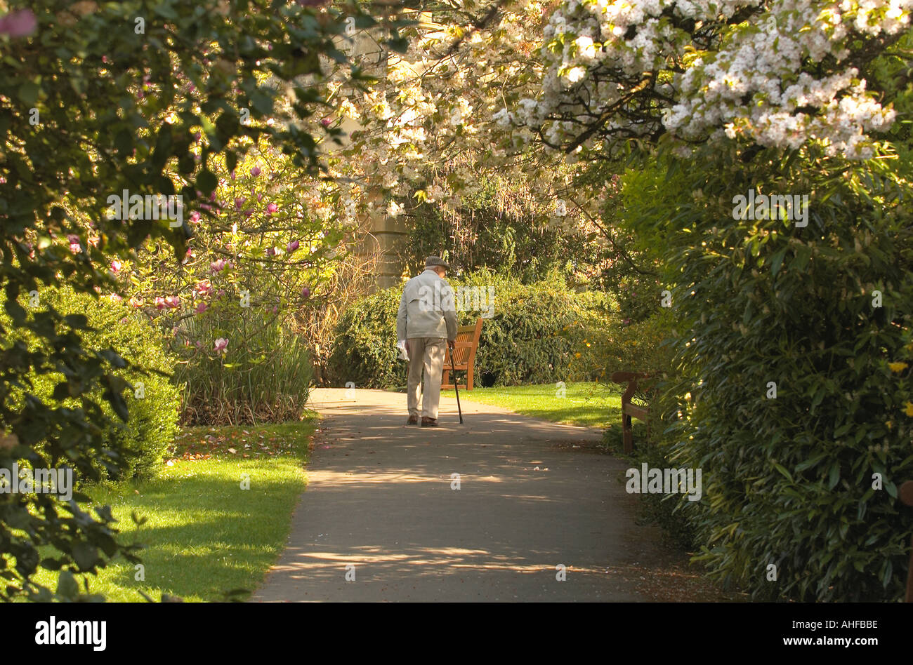 Elderly park hi-res stock photography and images - Alamy