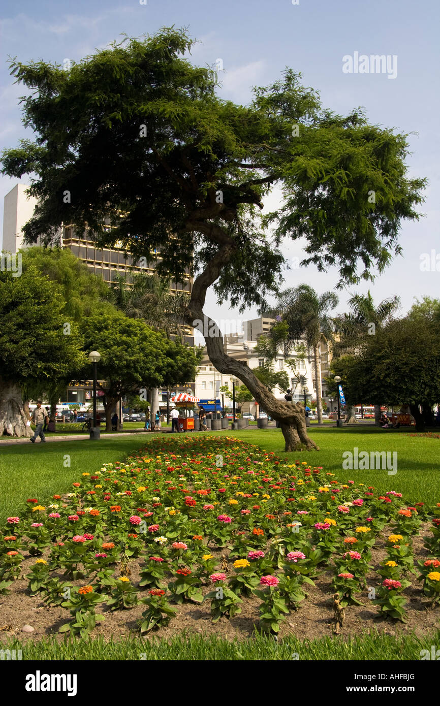 Parque Kennedy, also known as Miraflores Central Park, Lima, Peru Stock