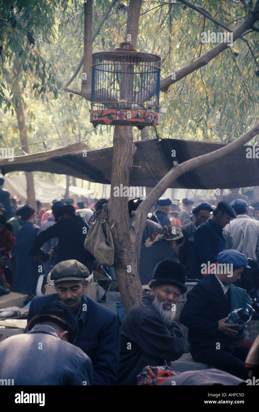 Caged off hi-res stock photography and images - Alamy