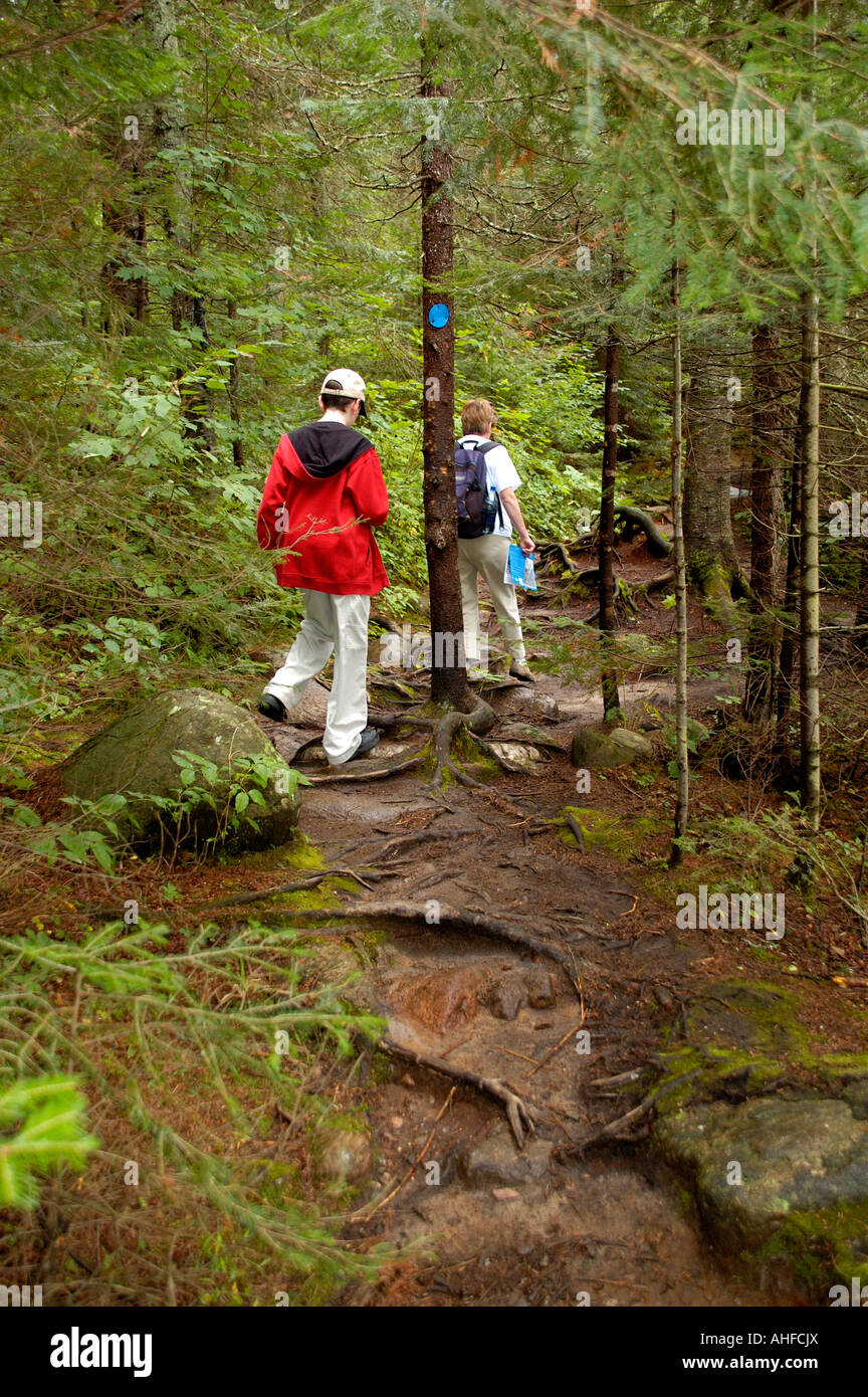 Walkers on the Beaver Pond Trail Algonquin Provincial Park Ontario Canada Stock Photo