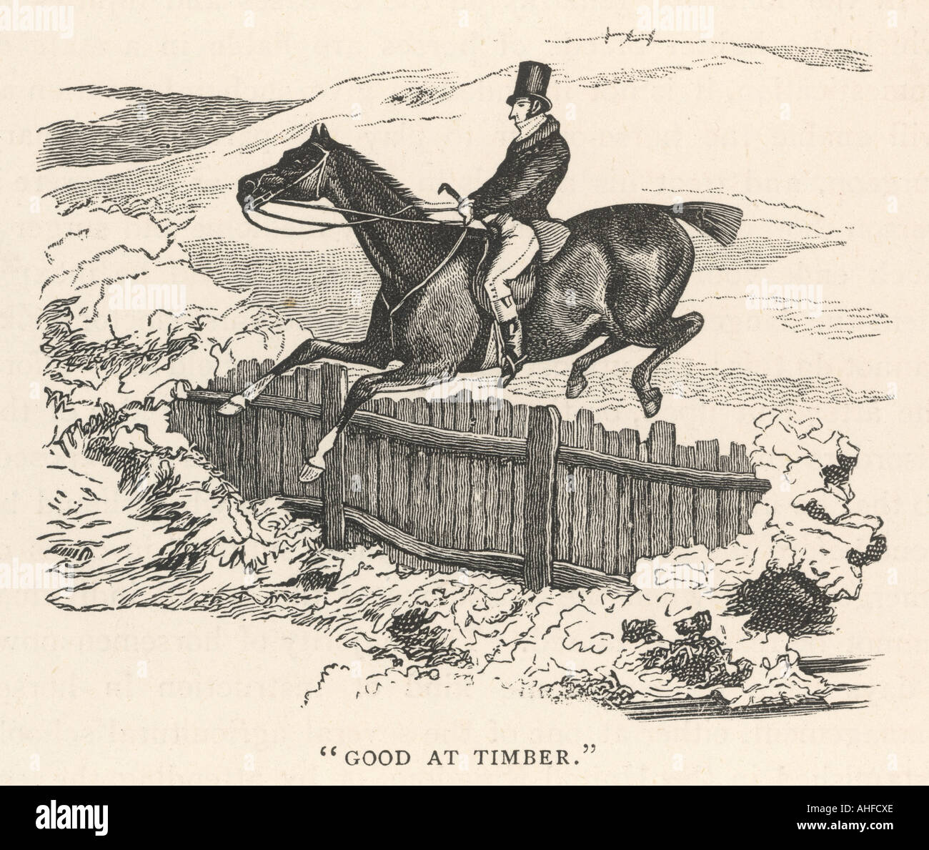 Rider and horse jumping fence hires stock photography and images Alamy