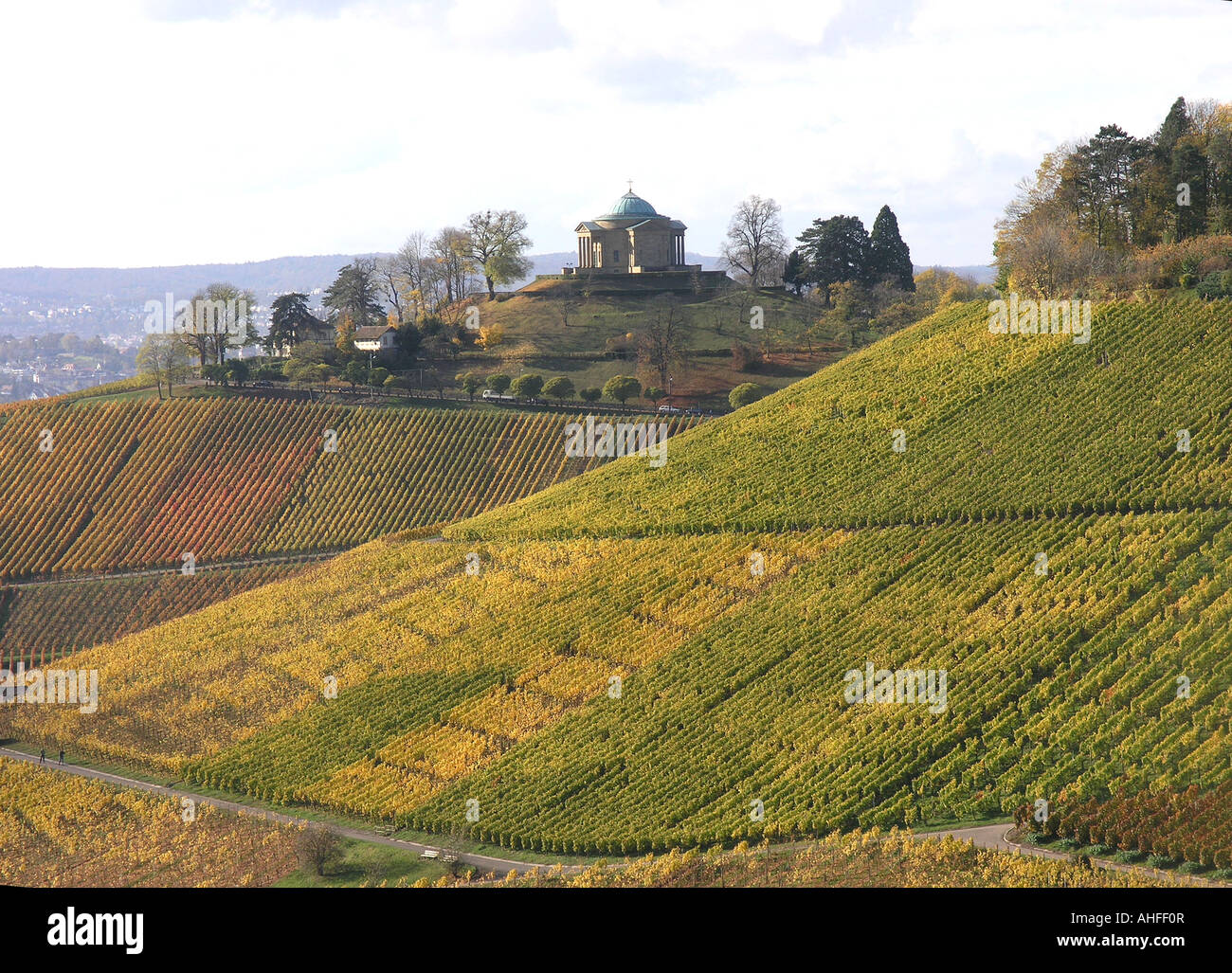 Weinberge im Herbst Württemberg Uhlbach Stuttgart Baden Württemberg