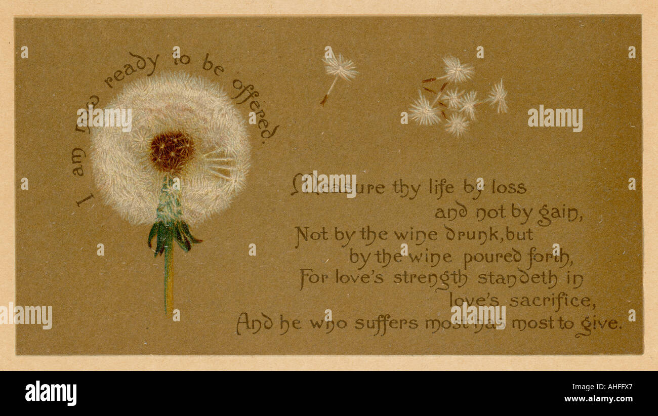 Dandelion Clock Prayer Stock Photo Alamy