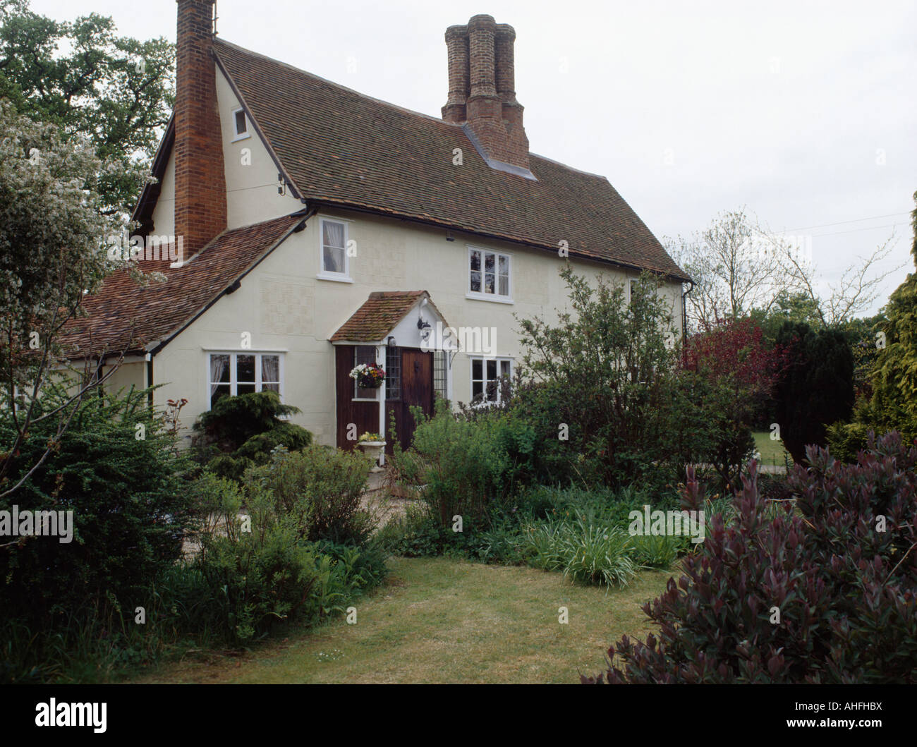 Traditional white country cottage with lawn and flower borders Stock