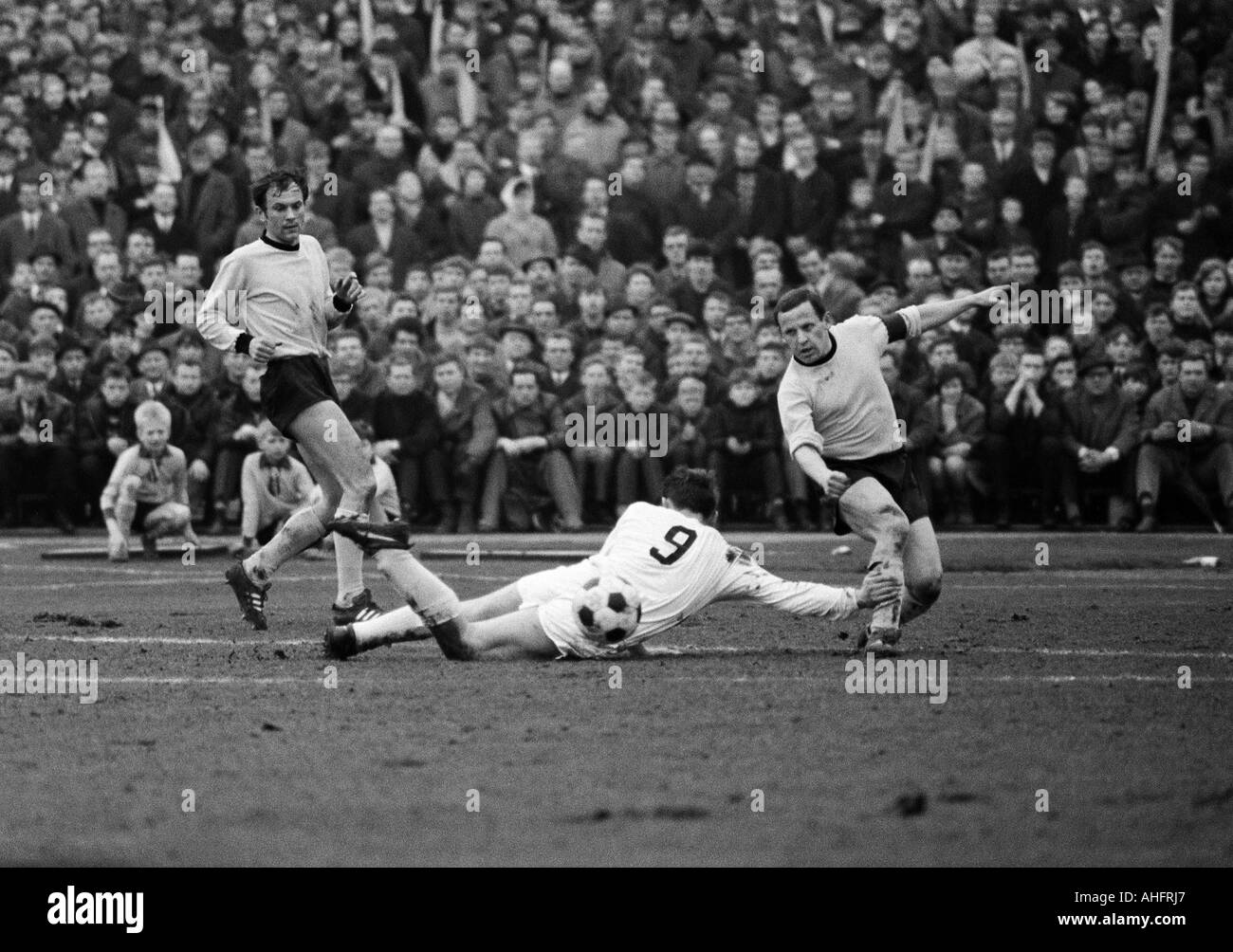 football, Bundesliga, 1967/1968, Borussia Dortmund versus Borussia Moenchengladbach 3:1, Stadium Rote Erde in Dortmund, scene of the match, f.l.t.r. Reinhold Wosab (BVB), Herbert Laumen (MG) aground, Dieter Kurrat (BVB) Stock Photo