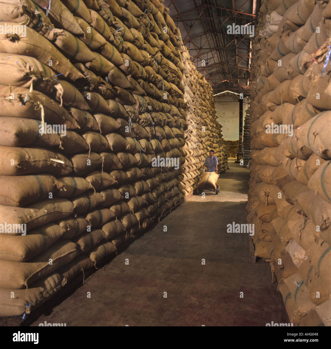 Sacks Of Coffee, Warehouse , Indonesia Stock Photo Alamy
