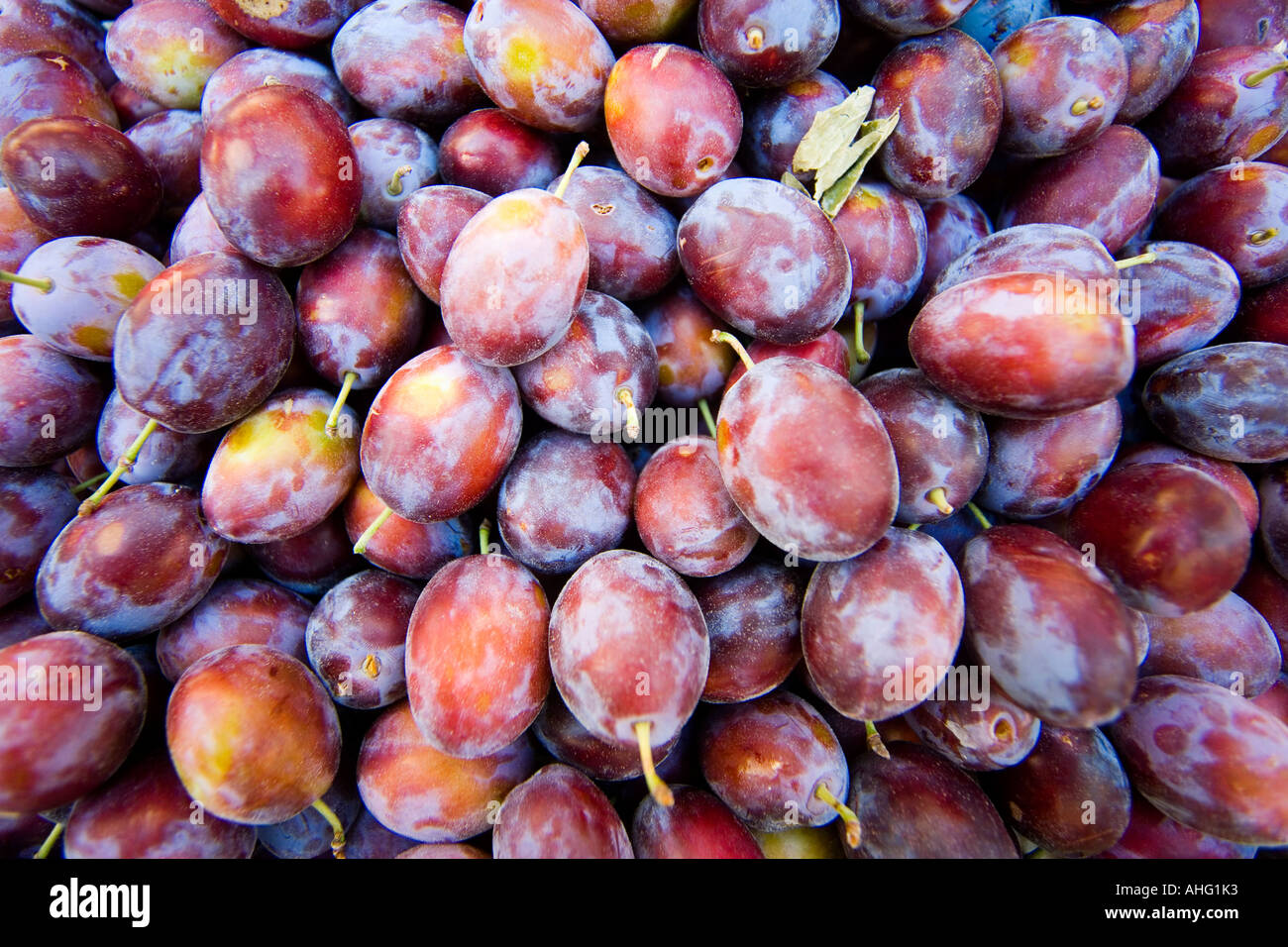 Plums Stock Photo