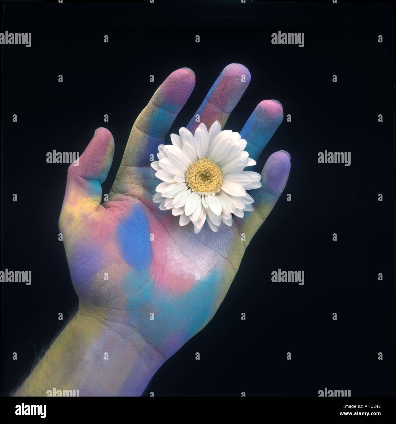Hand With Flower Peace Offering Stock Photo Alamy