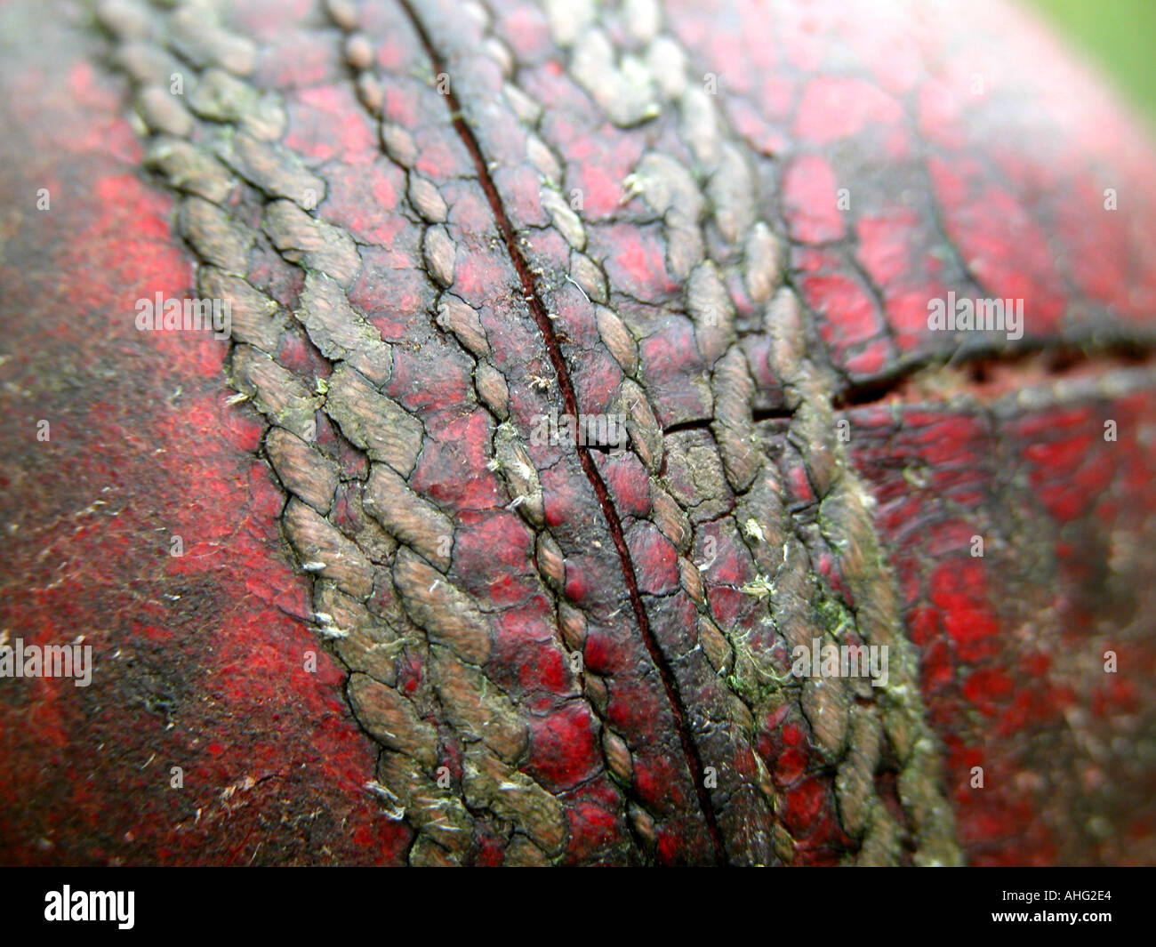 Cricket ball, well used Stock Photo