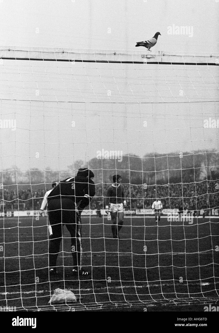 football, Bundesliga, 1969/1970, Niederrhein Stadium in Oberhausen, Rot-Weiss Oberhausen versus FC Schalke 04 0:3, scene of the match, keeper Josef Elting (Schalke) stands in the goal, a pigeon sitting on the crossbar Stock Photo