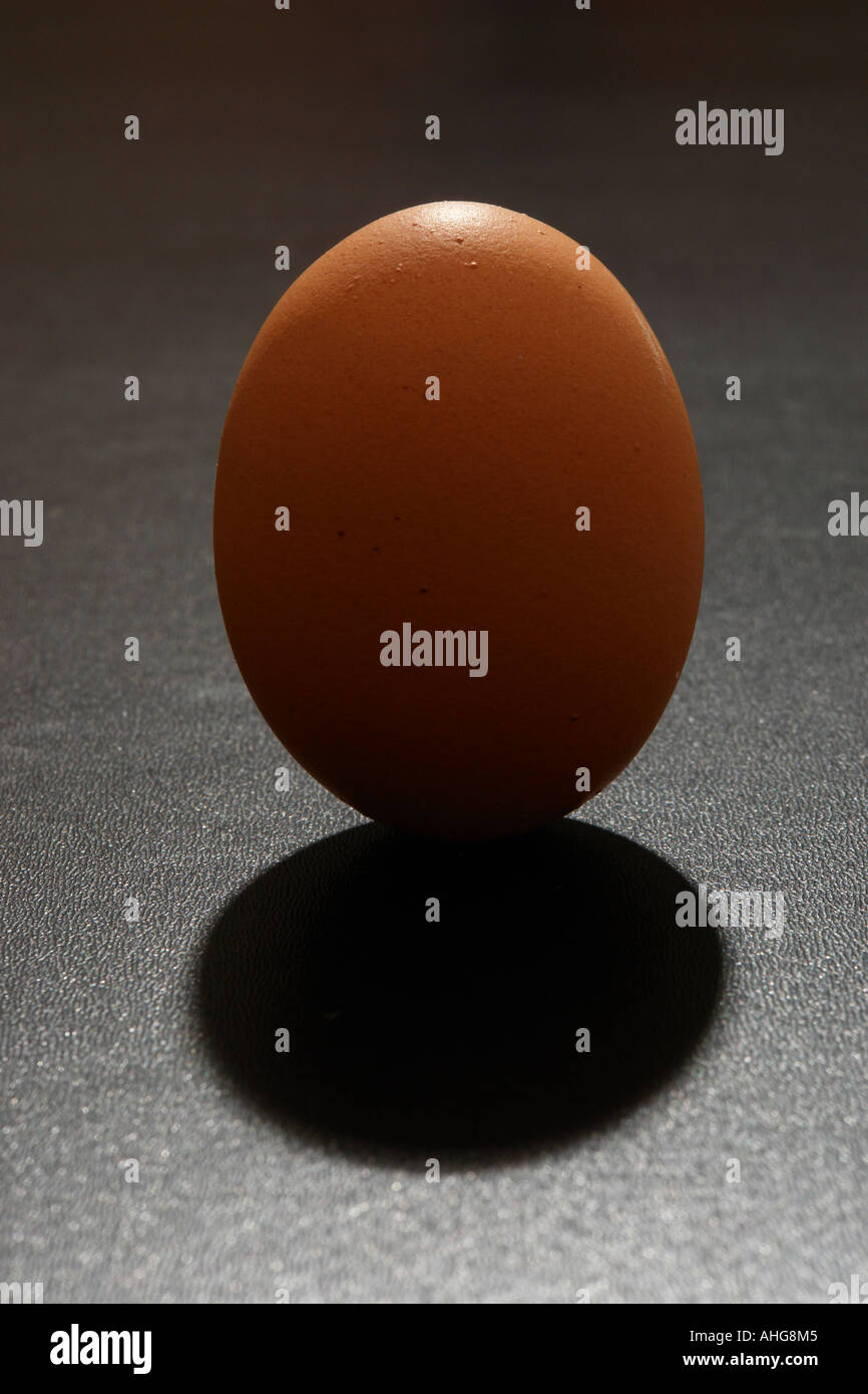 an egg in dramatic lighting Stock Photo Alamy