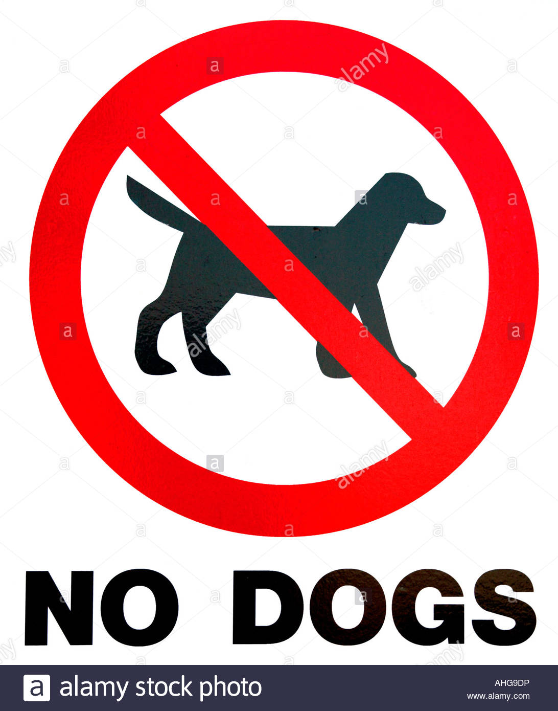 No dogs allowed signpost Stock Photo Alamy
