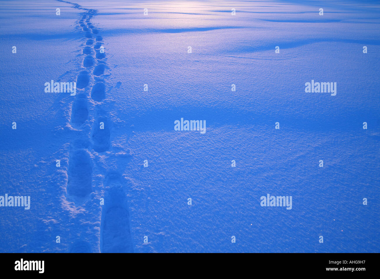 Footprints in the snow Tracks in the snow Stock Photo Alamy