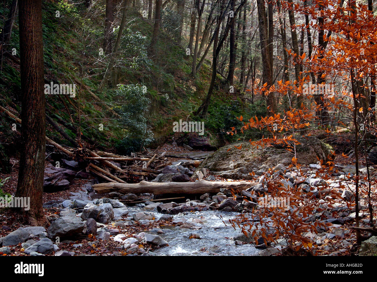 Appalachian trail at camping hi-res stock photography and images - Alamy