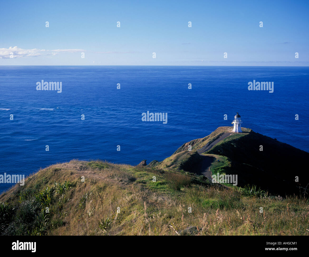 New zealand Cape Reigna Stock Photo - Alamy