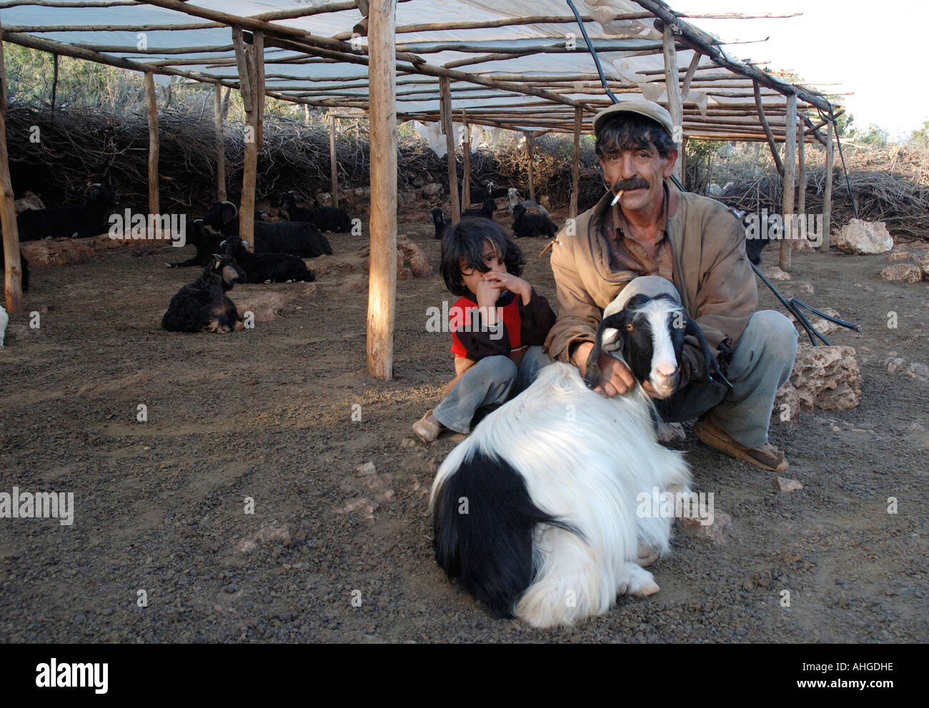 Kurdish nomad with his son tending his sheep and goats up in the hills of Southern Turkey near Kas. Stock Photo