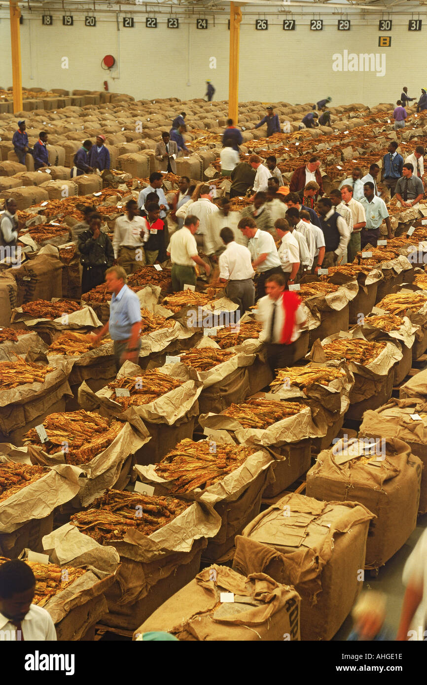 tobacco company in dubai Kaanee American International Tobacco Co. Fze(Distributors & Wholesalers)  in Jebel Ali Free Zone (Mena Jebel Ali), Dubai