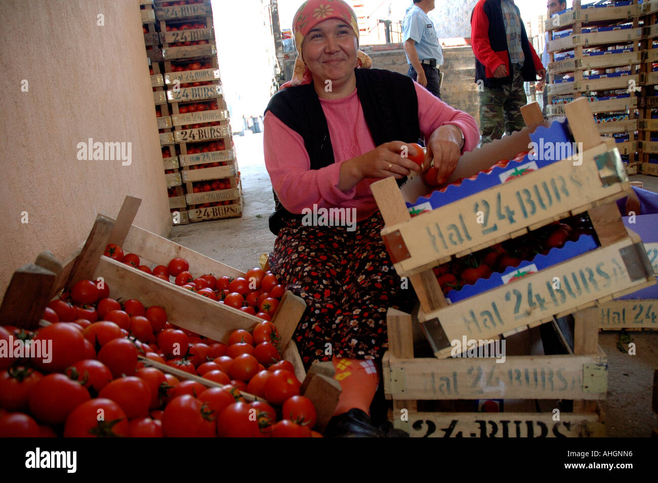 Agricultural workers sorting at tomatoes at distribution depot in small town of Yesilkoy Stock Photo