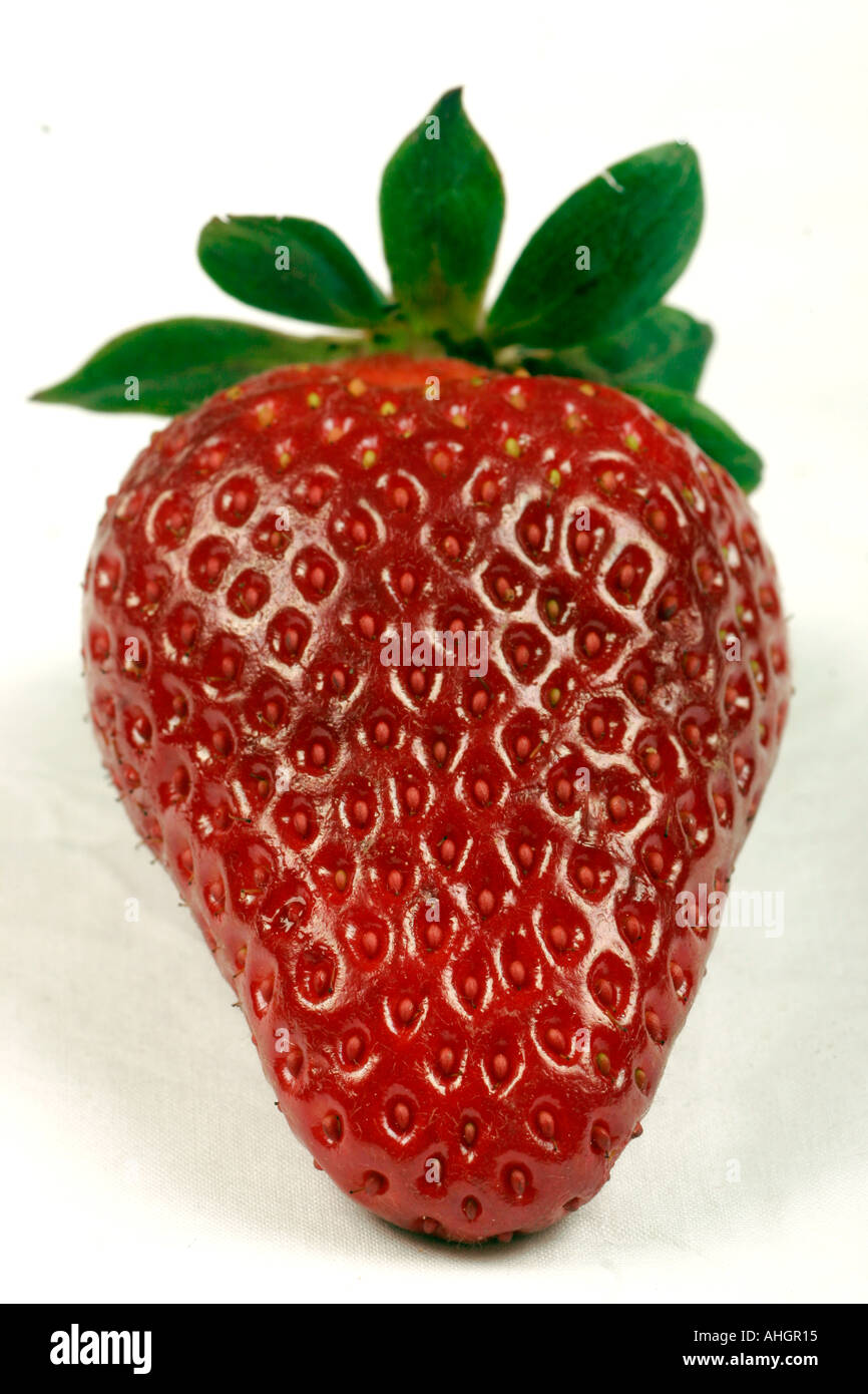 Studio one hi-res stock photography and images - Alamy