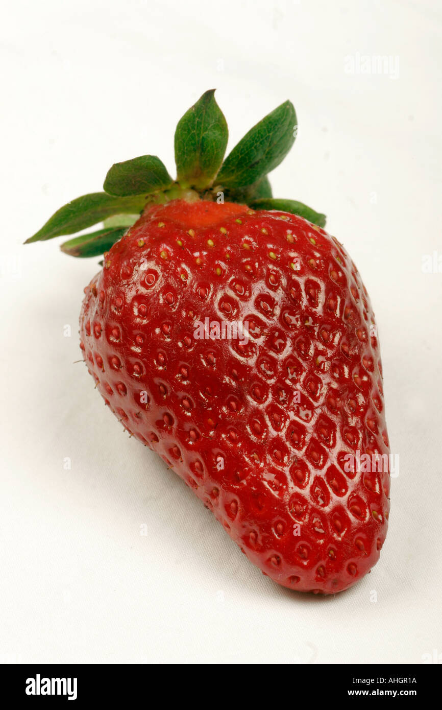 One organic strawberry shot in studio Stock Photo - Alamy