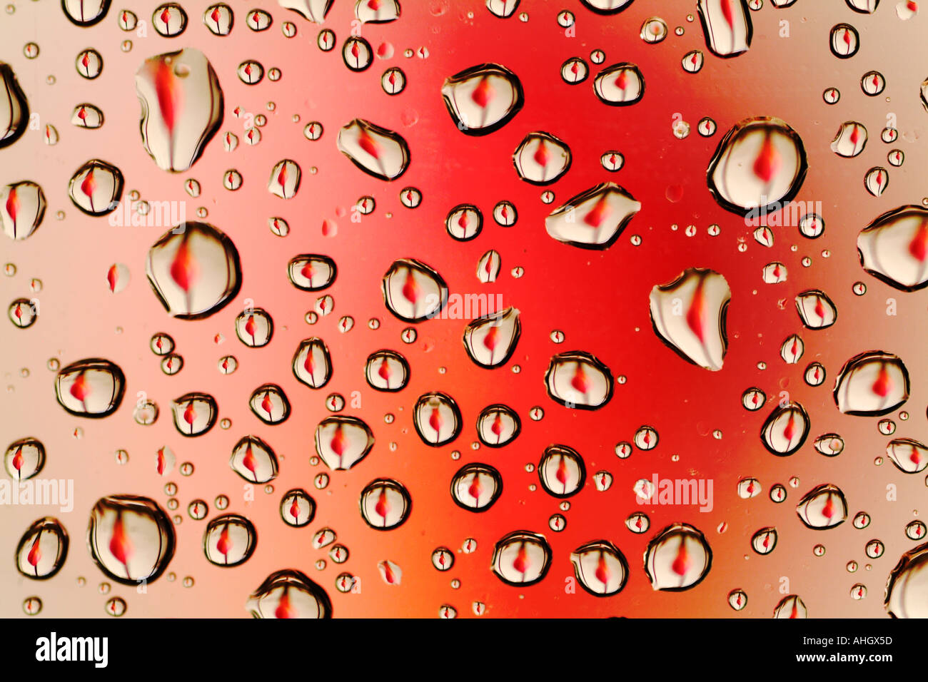 Raindrops on a window glass Stock Photo