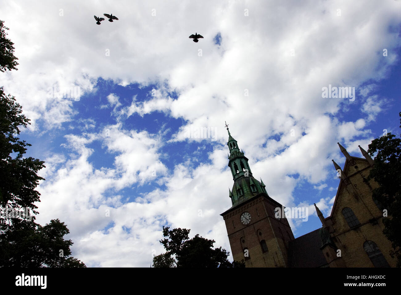 Outlined bell tower of Oslo's cathedral and flying pigeons against a dramatic sky. Stock Photo