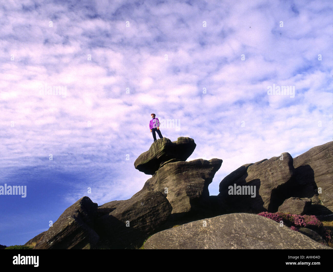 Brimham Rocks near Ripon Nidderdale Yorkshire England UK Stock Photo ...